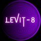 Flyer for Levit-8