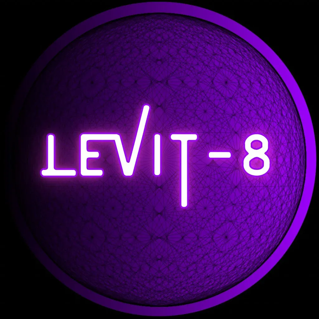 Flyer for Levit-8