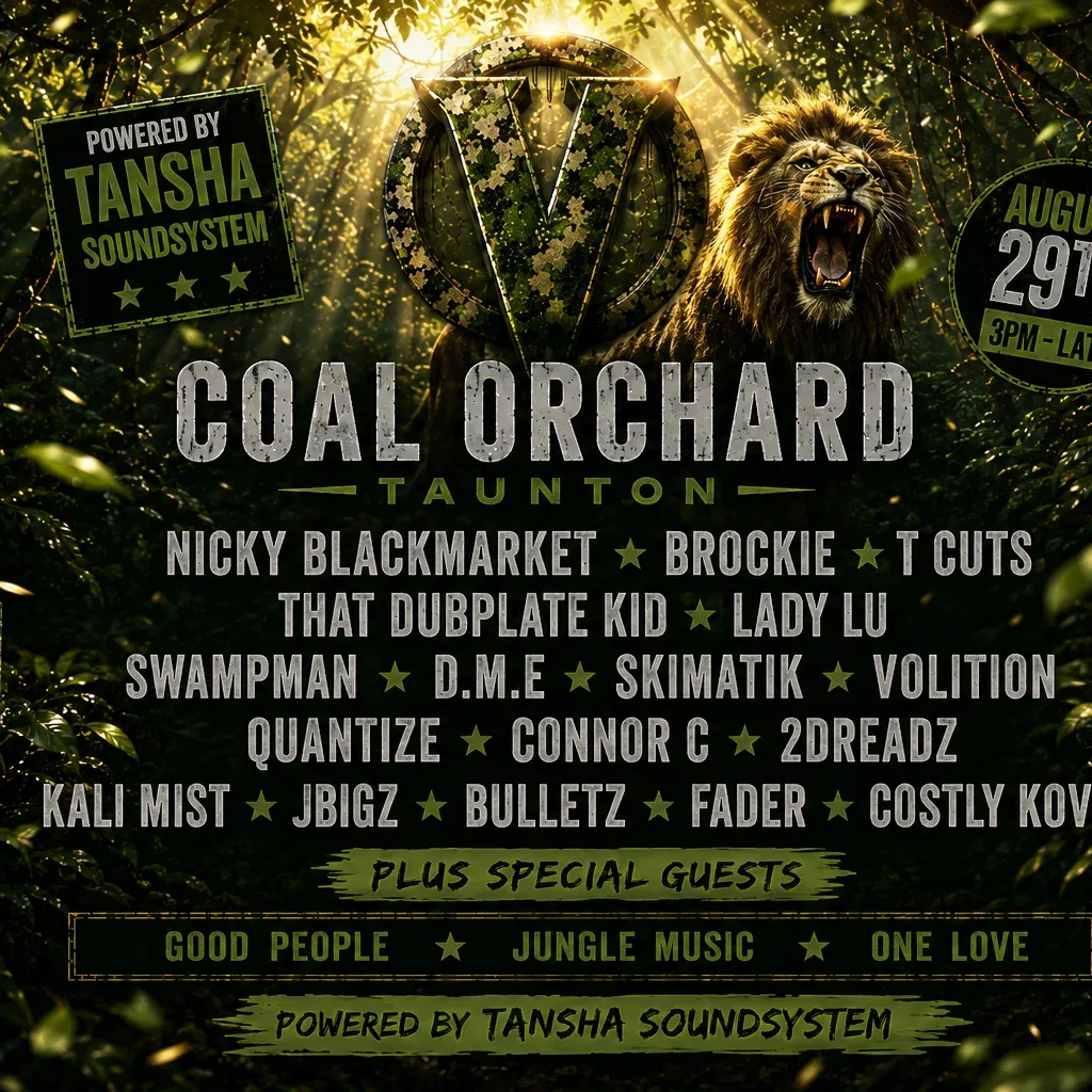 Flyer for ONE LOVE PROMOS presents: V