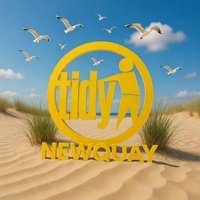 Flyer for Tidy Newquay Seaside Special