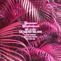Flyer for Summer Shakedown Sat 22nd Aug at Railway Inn