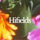 Flyer for Hifields Festival