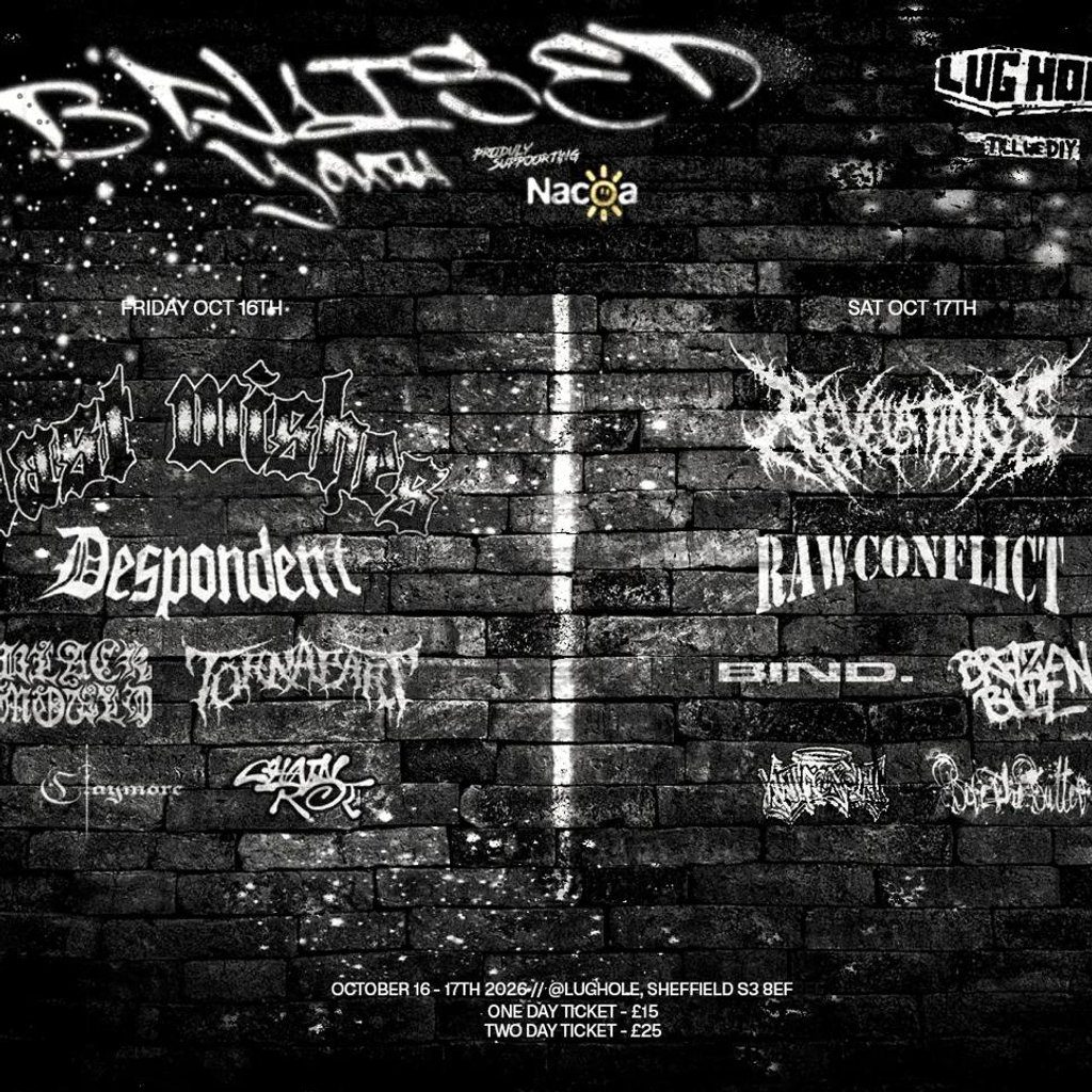 Flyer for Bruised youth fest 2 day ticket