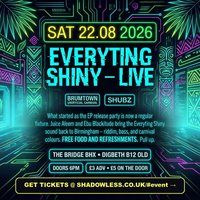 Flyer for Everyting Shiny