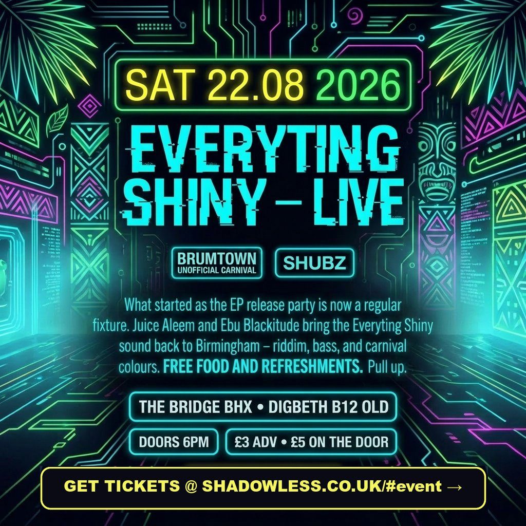 Flyer for Everyting Shiny