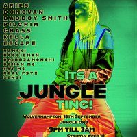 Flyer for Vibez Nation Its A Jungle Ting!