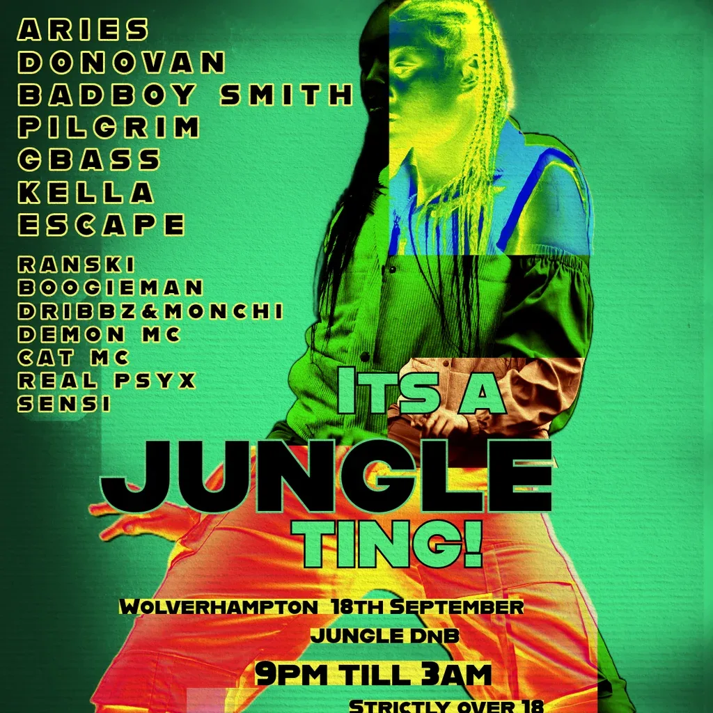 Flyer for Vibez Nation Its A Jungle Ting!