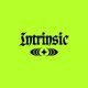 Flyer for Intrinsic 001