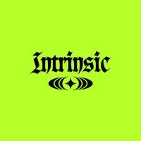 Flyer for Intrinsic 001