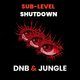 Flyer for Sublevel Shutdown - Manchester DNB Rave at Stage + Radio