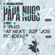 Flyer for Below Zero + Meraki present Papa Nugs